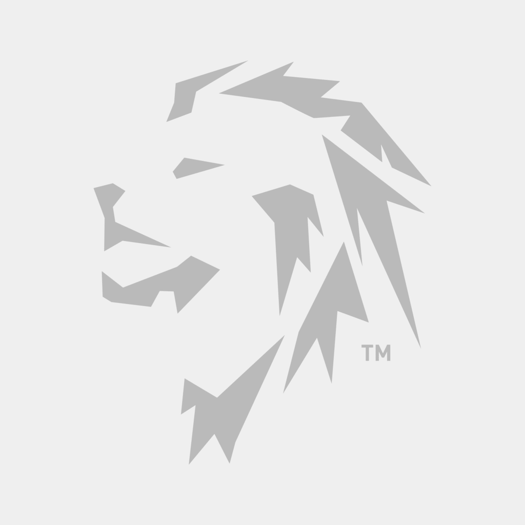 Meet the team